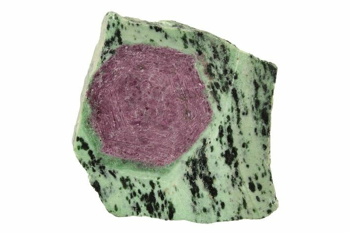 Polished, Highly Fluorescent Ruby in Zoisite Slice - Tanzania #243185